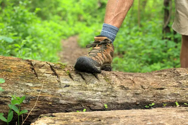 Hiking boot stepping over a fallen log on a green forest trail