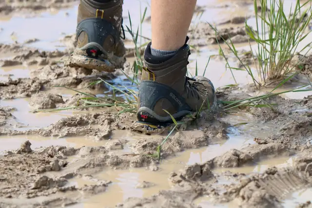 Hiking boots stepping through wet mud and grass