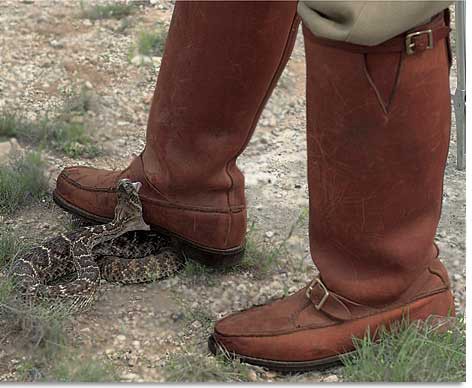 Chippewa snake proof boots