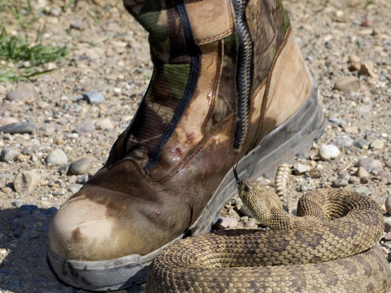 Hero-Snake-boots-Photo-Credi