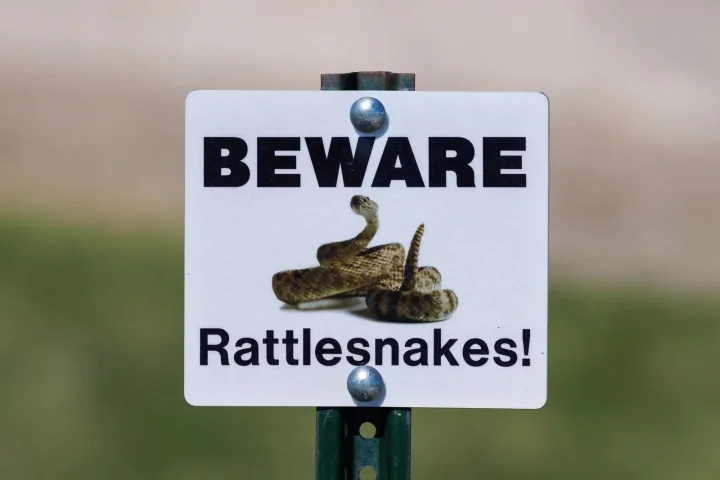 Warning sign reading Beware Rattlesnakes in a natural area